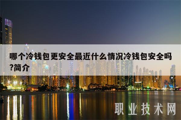 哪个钱包最安全-什么钱包性价比高