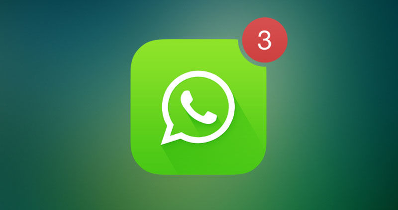 电脑上的whatsapp-电脑上的WhatsApp的聊天记录在哪