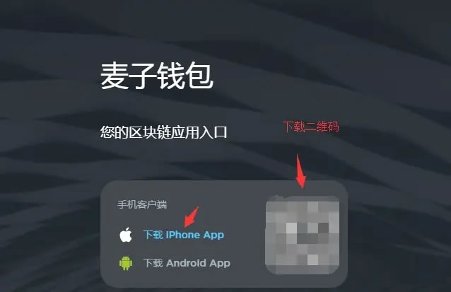 币圈公认最安全的钱包app下载-币圈公认最安全的钱包app下载安装