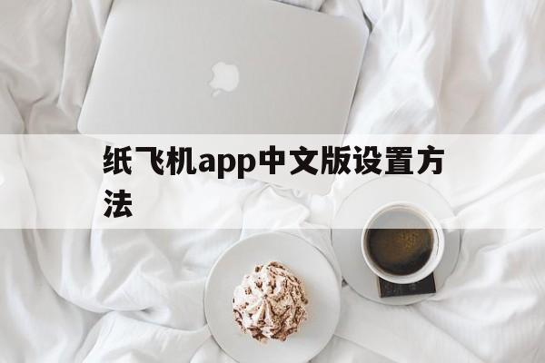 [纸飞机app中文版设置方法]纸飞机app怎么弄成中文版的